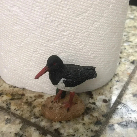 American Oyster Catcher Bird Decor - Picture 1 of 4